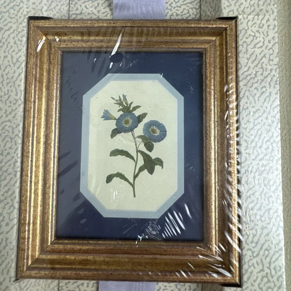 Vintage 1993s NEW Ribbon & Picture Collection Botanical ART Set
